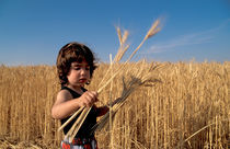 Israel, a boy preparing for Shavuot holiday by Hanan Isachar