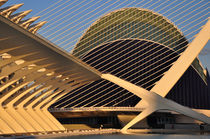 Valencia, Ciudad de las Artes y las Ciencias von Frank Rother