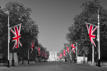 UK, England, London, Buckingham Palace, Royal Wedding von Alan Copson