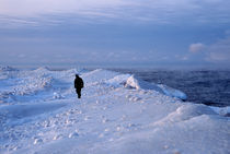 Alone on a Winter Beach von Lee Rentz