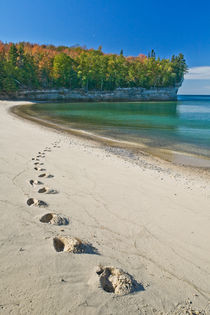 Footprints on the Shore by Lee Rentz