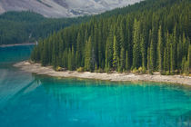 The Color of Lake Louise by Lee Rentz