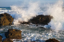 Crashing Pacific Wave von Lee Rentz