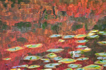 Homage to Monet in a Japanese Garden 2 von Lee Rentz