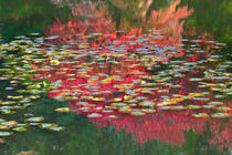 Homage to Monet in a Japanese Garden von Lee Rentz