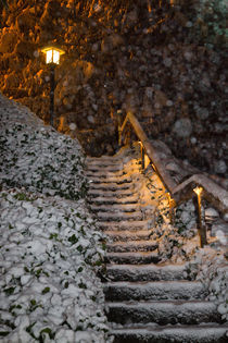 Stairway in Winter by Lee Rentz