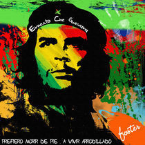 Ernesto Che Guevara by Christian Archibold