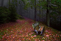 Herbst Bild von Evgeny Dryakhlov