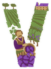 V as Vigneron (Winegrower) von Anastassia Elias