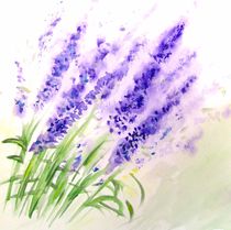 Lavendel (Fleur de lavande) von Maria-Anna  Ziehr