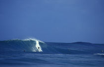 Surfers Dream by Sean Davey