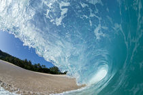 Beach curl by Sean Davey