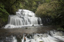 Purakaunui Falls by Ross Curtis