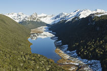 Takahe Valley in the Murchison Mountains von Ross Curtis