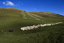 Basque shepherd 002 von Ander Gillenea
