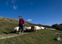 Basque shepherd 004 by Ander Gillenea