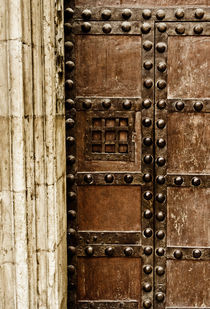 Cathedral Door, Valencia von Cameron Booth
