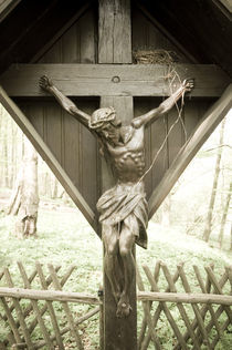 Jesus im Wald I by Thomas Schaefer