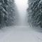 'Waldweg im Winter 4' by Intensivelight Panorama-Edition