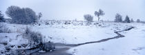 Es wird Winter im Moor by Intensivelight Panorama-Edition