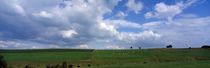 Landschaft mit Kühen von Intensivelight Panorama-Edition