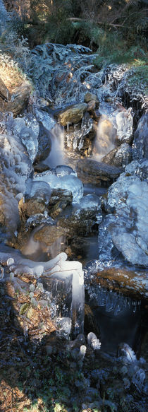 Erster Frost am Wildbach 5 von Intensivelight Panorama-Edition
