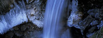 Erster Frost am Wildbach 2 by Intensivelight Panorama-Edition