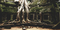 jungle temple von emanuele molinari