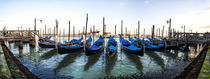 A Panorama of Parked Gondolas by Richard Susanto