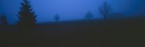 Es wird Nacht im Moor by Intensivelight Panorama-Edition