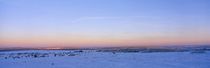 Sonnenuntergang über dem schneebedeckten Moor von Intensivelight Panorama-Edition