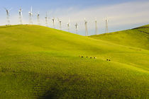 Rolling Hills and Wind Mills von Richard Susanto