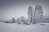 Russian winter von Alex Gvozditskiy