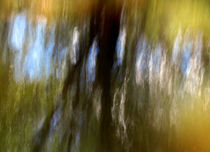 River Reflections von Kitsmumma Fine Art Photography