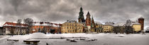 The Castle Panorama by p. paralaxa