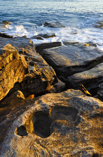 Ocean Rocks, Manly Beach by Cameron Booth
