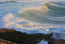 Swell, Manly Beach by Cameron Booth