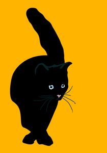 Black cat by sebastiano ranchetti
