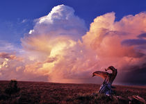 Cloud Light von Leland Howard