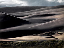 Dune Light von Leland Howard