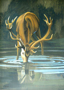 Deer Stag Drinking von Patricia Howitt