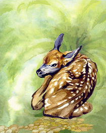 Fawn Parked in the Fern by Patricia Howitt