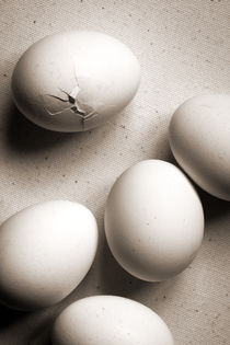 Eggs by Vladimir Semenov