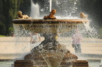 Fountain by emanuele molinari