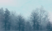Winter Morning by Milena Ilieva