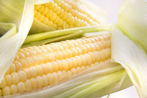 Corn cob by Tomer Burmad