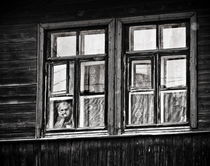 All life in the eyes of ... by Dmitriy  Zakharenkov