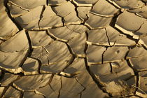 Fissured soil von Tomer Burmad