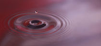 Drop of water by Tomer Burmad