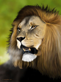 Lion by Fernando Ferreiro